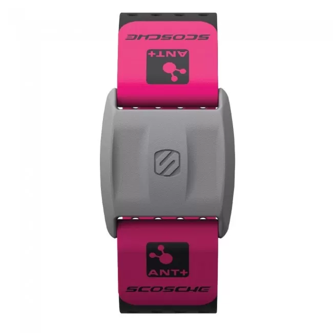 SCOSCHE- REPLACEMENT BAND [Open Box]